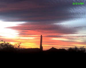 photo_032109_00e